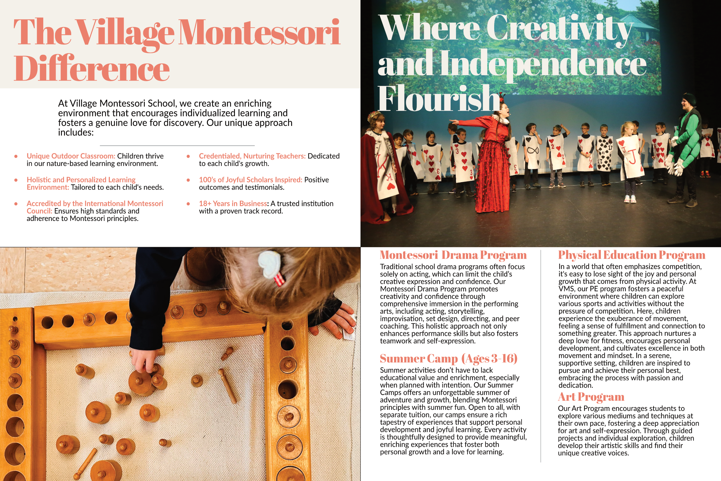 Intro Brochure for a school