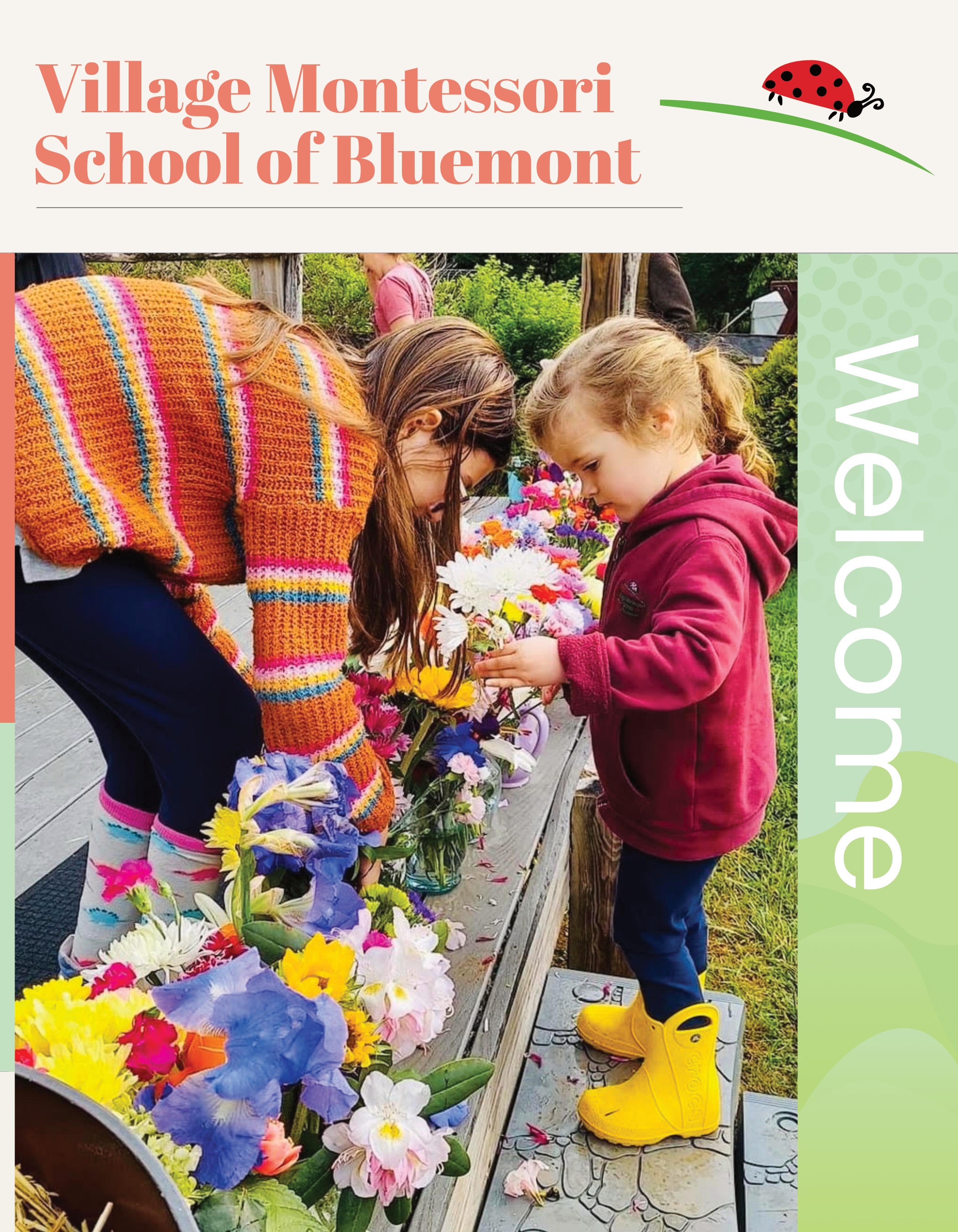 Intro Brochure for a school